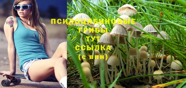 ешки Богородск