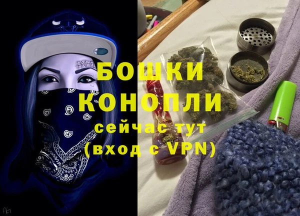 2c-b Богородицк