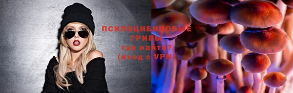 2c-b Богородицк