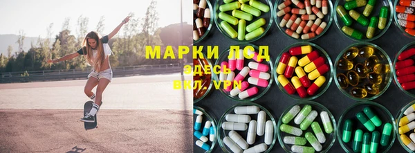 гашик Богданович