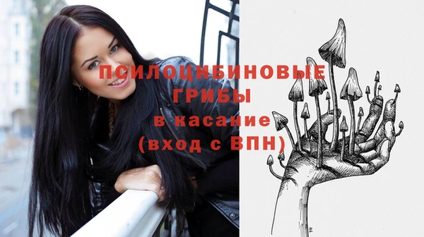 гашик Богданович
