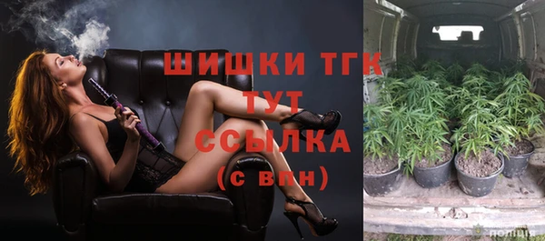 гашик Богданович