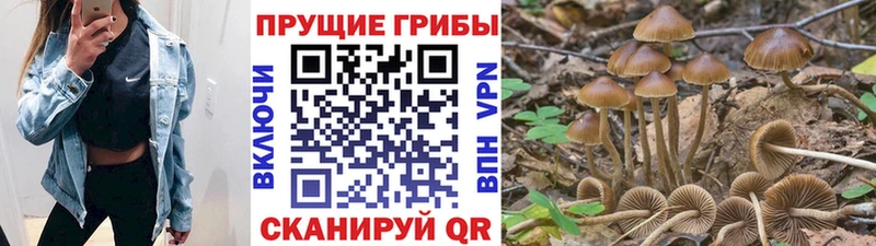 Псилоцибиновые грибы GOLDEN TEACHER  наркошоп  Белый 